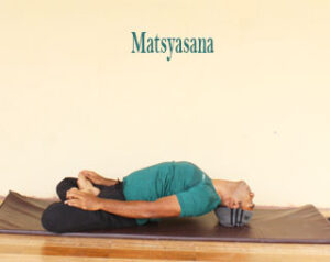 Matsyasana steps for proper periods 
